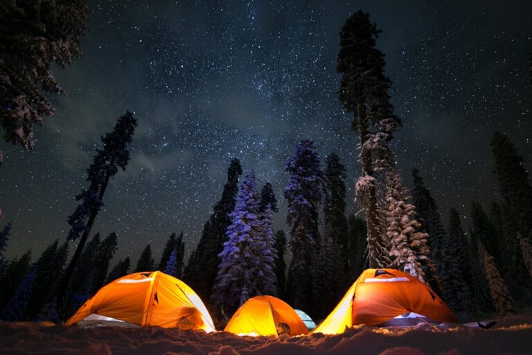 How to Choose the Right Tent for Your Camping Trip