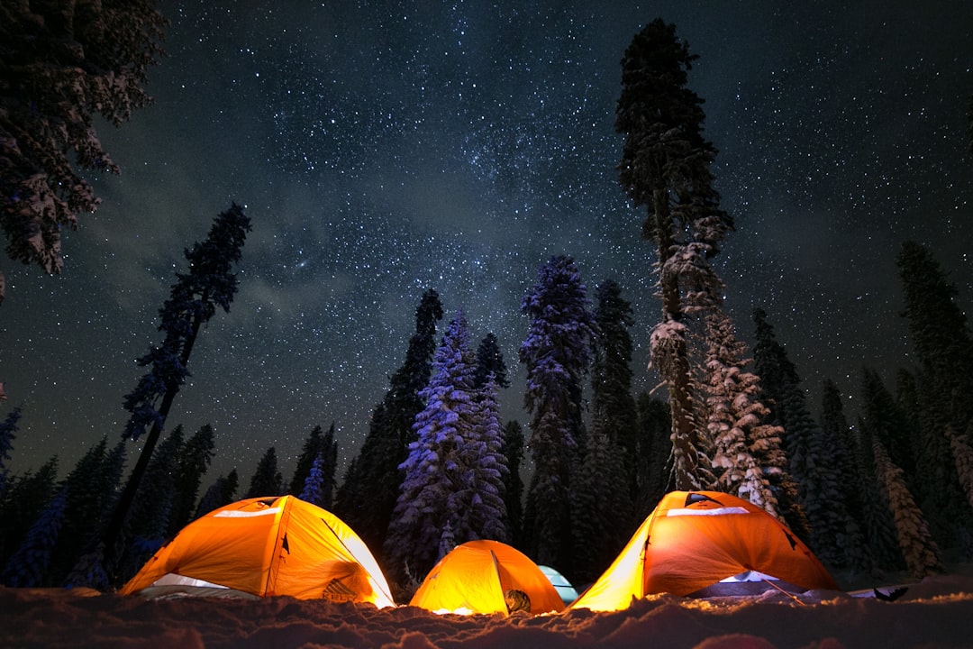 How to Choose the Right Tent for Your Camping Trip